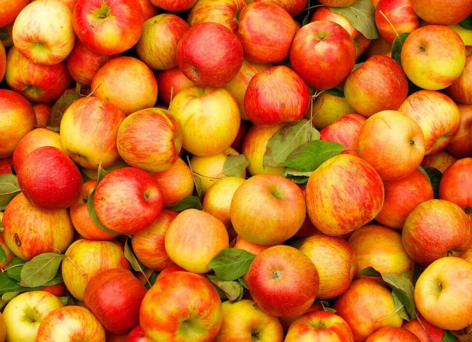 Ссылковыжималка №33