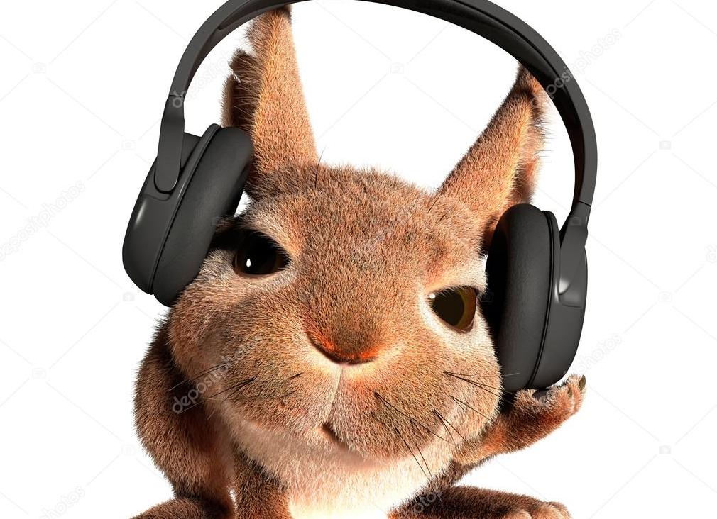 Заяц-энерджайзер или Белка в колесе?