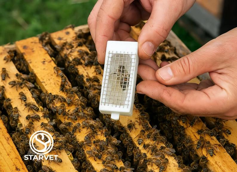 Лайфхак по уменьшению потерь тепла в доме от Алишера Нурматова