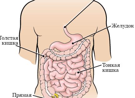 СМС, как инструмент эффективного человека